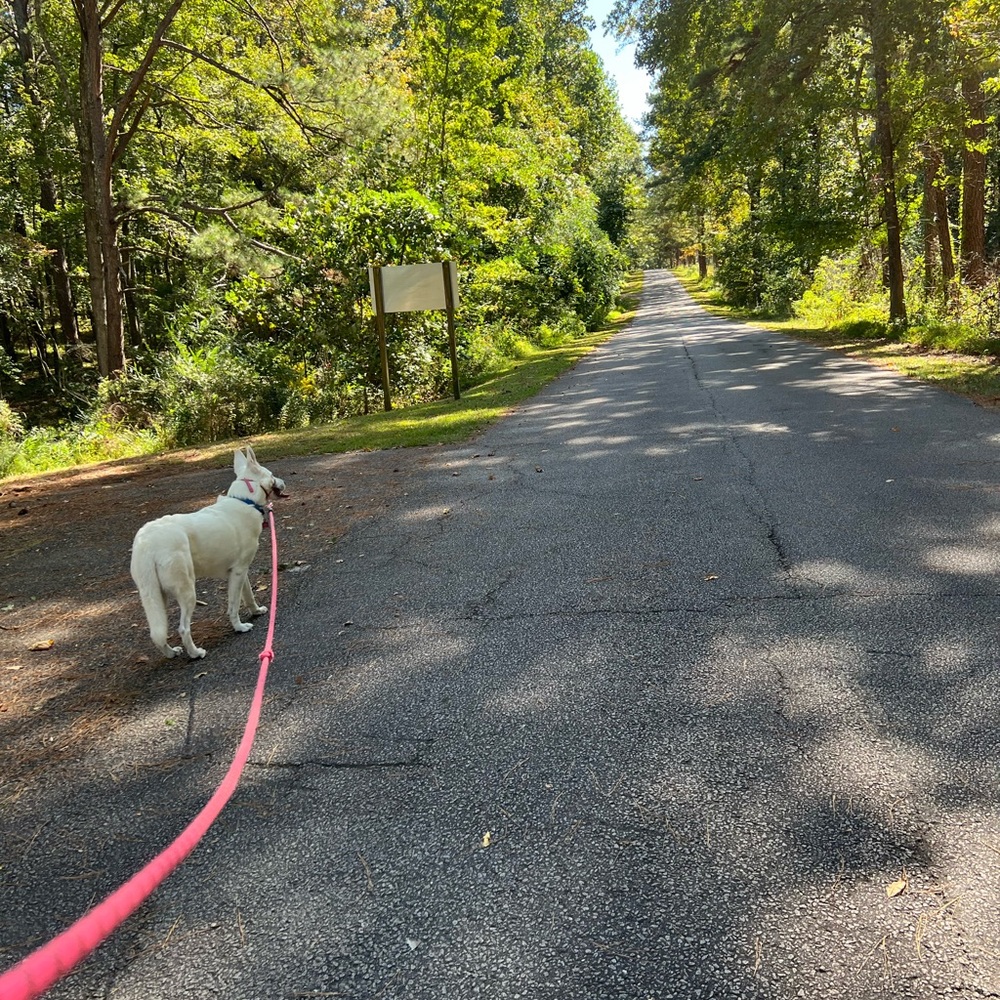 LOOKING FOR SALES! - Picture 5 of 5